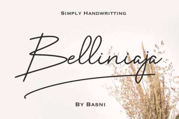 Belliniaja: Elegant Script Font for Web Design