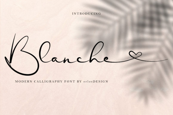 Blanche Font: Elevate Your Brand Identity