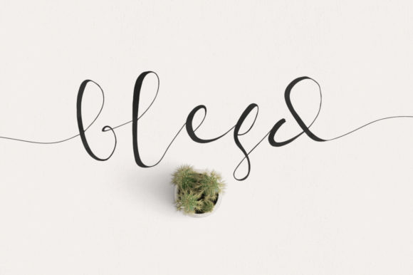 Blesd Font Download: Elegant Script for Designers