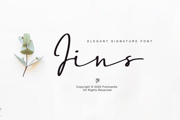 Jins Font Review for Modern Branding