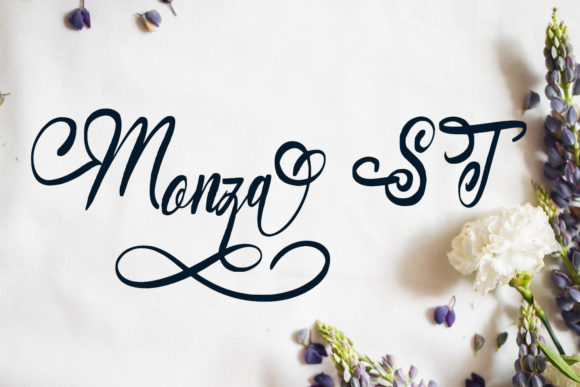 Monza ST: The Elegant Script Font for Campaigns
