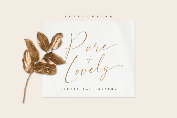 Pure Lovely Font Review for Elegant Branding