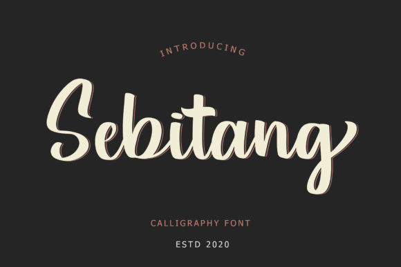 Sebitang Typeface for Elegant Editorial Design