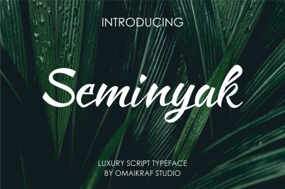 Seminyak Font Review for Modern Campaign Design